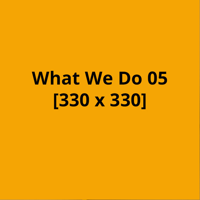 What We Do Web Development